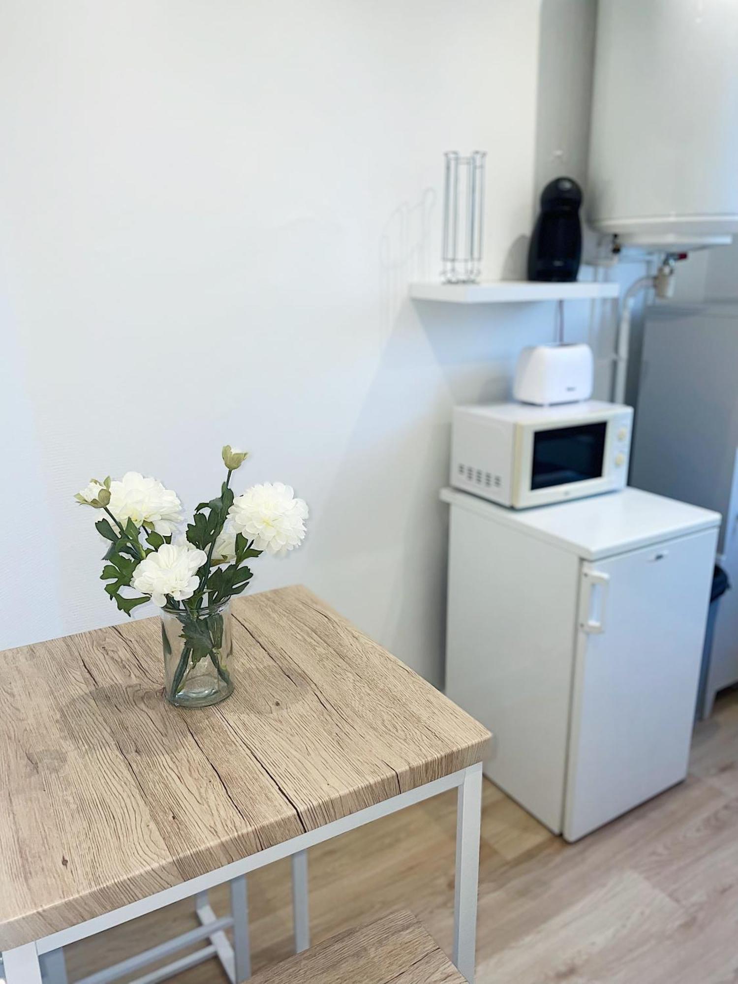 Cosy Angevin - Joli Petit Apartment Angers